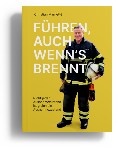 marnette accentuated consulting buch fuehren wenns brennt