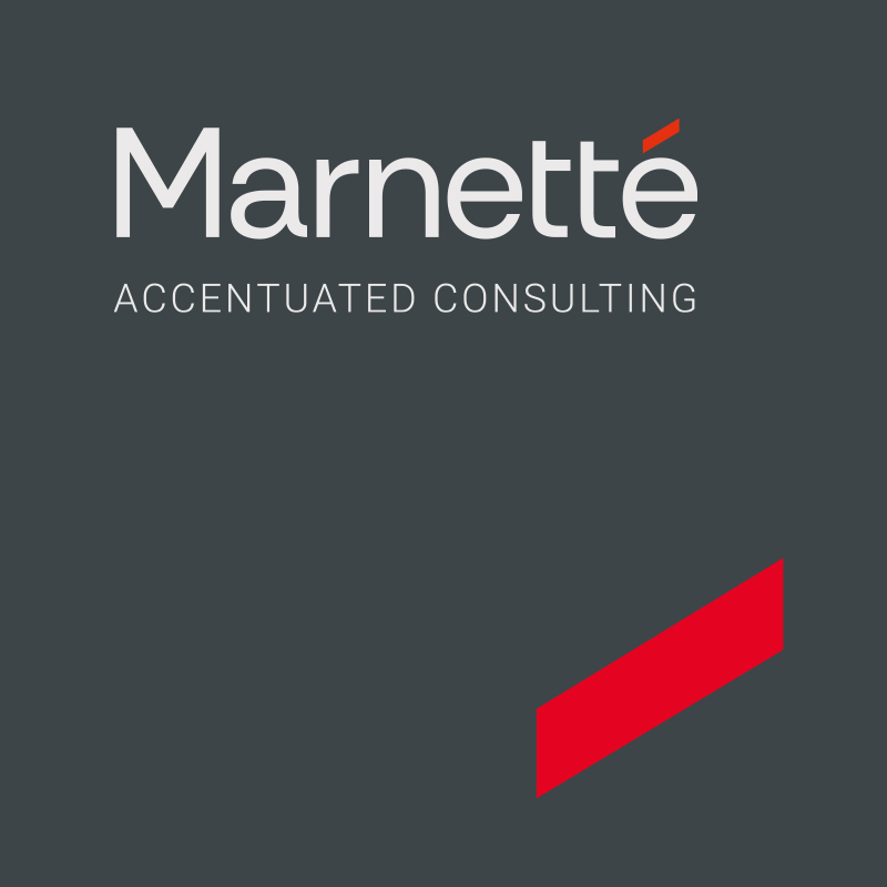 marnette blogbeitrag accentuated consulting